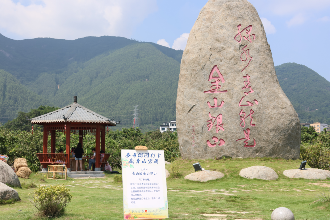 8万元！今年的“龙眼王”诞生了！