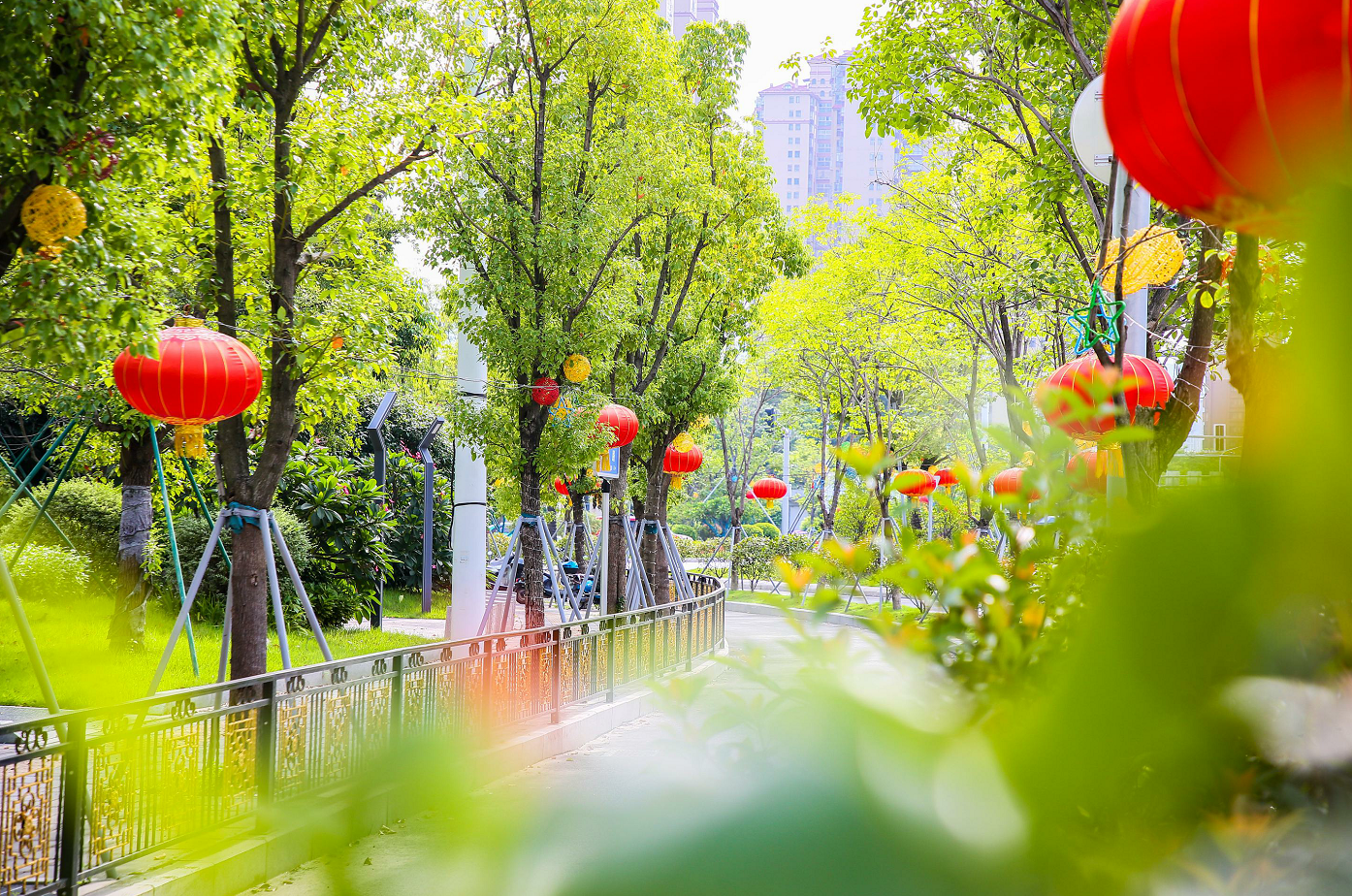 【网络中国节·中秋】国旗红，鲜花美，灯光靓！长乐街头不一般！