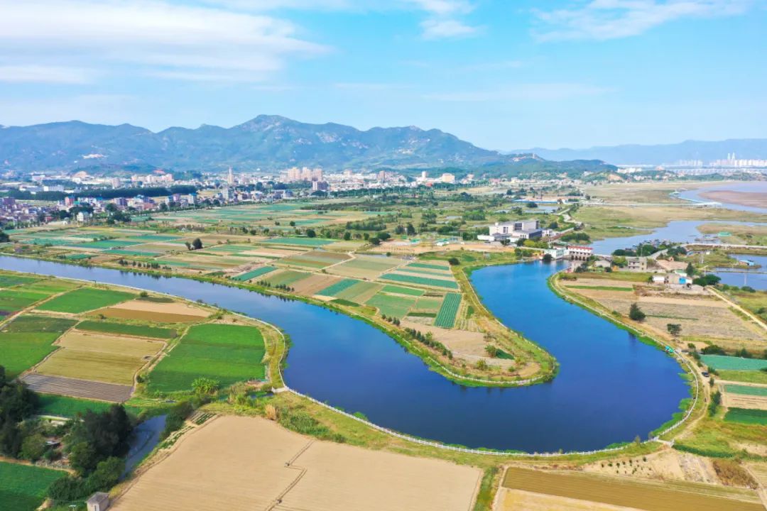 花海群芳斗艳，水鸟飞舞蹁跹！就在长乐这里→