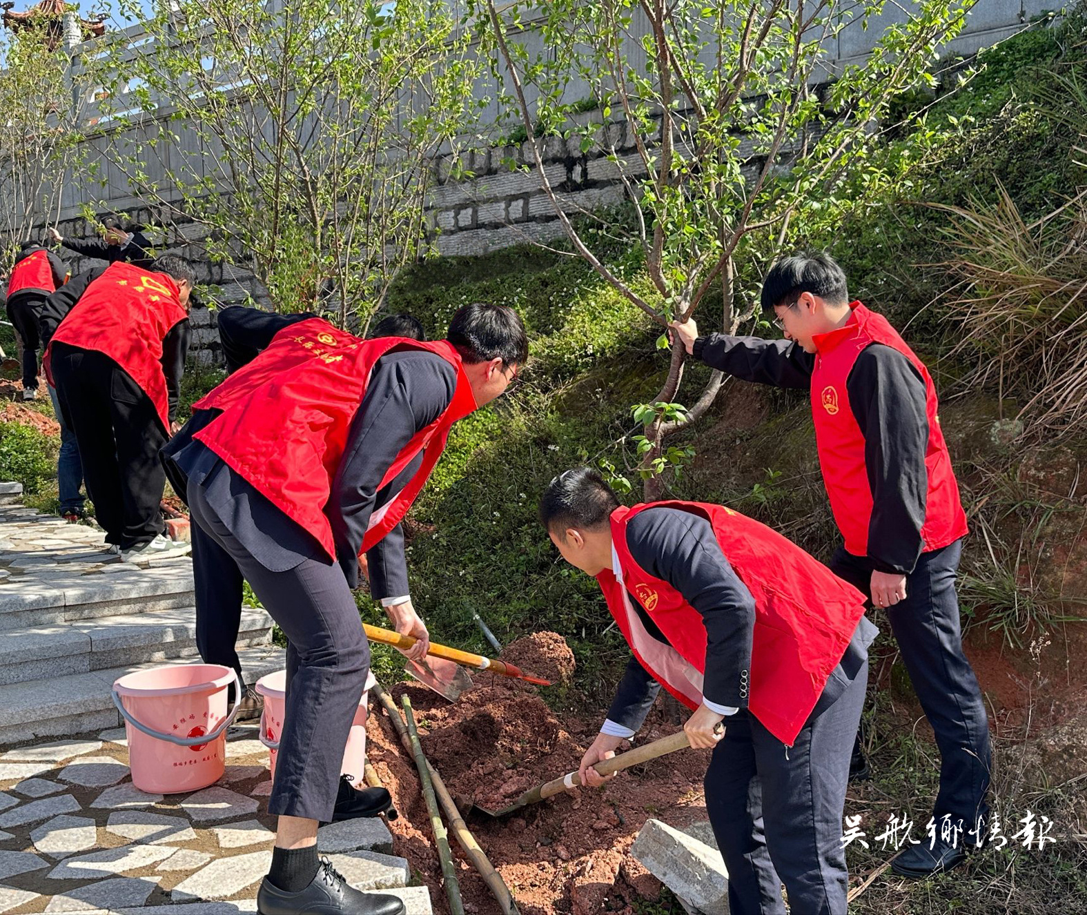 不负春光添新绿 全民植树热情高