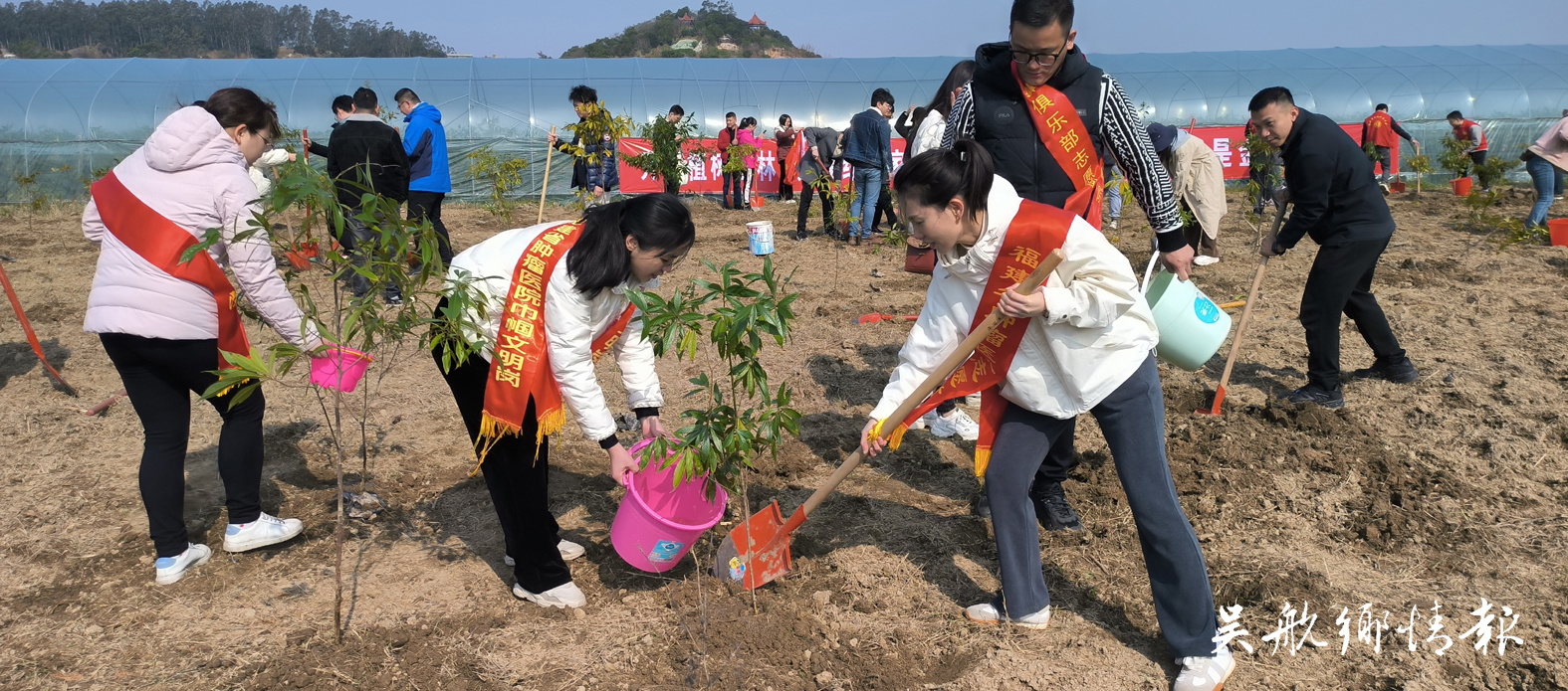 不负春光添新绿 全民植树热情高