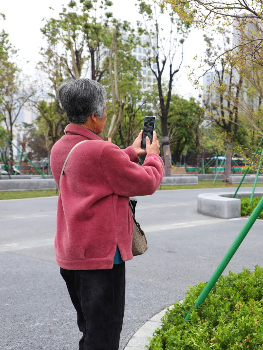 城区再添一处高颜值公园！在你家附近吗？