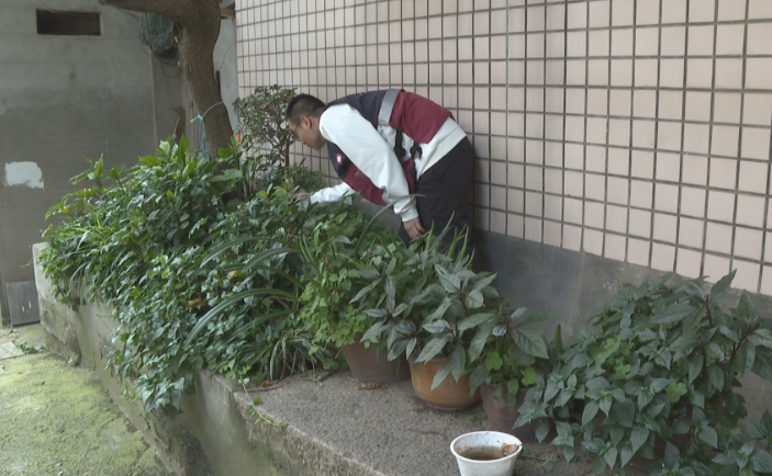 @长乐人，已进入流行季！注意防治！