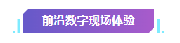 免费参观！超震撼！近100万个积木颗粒，耗费近7000个小时……