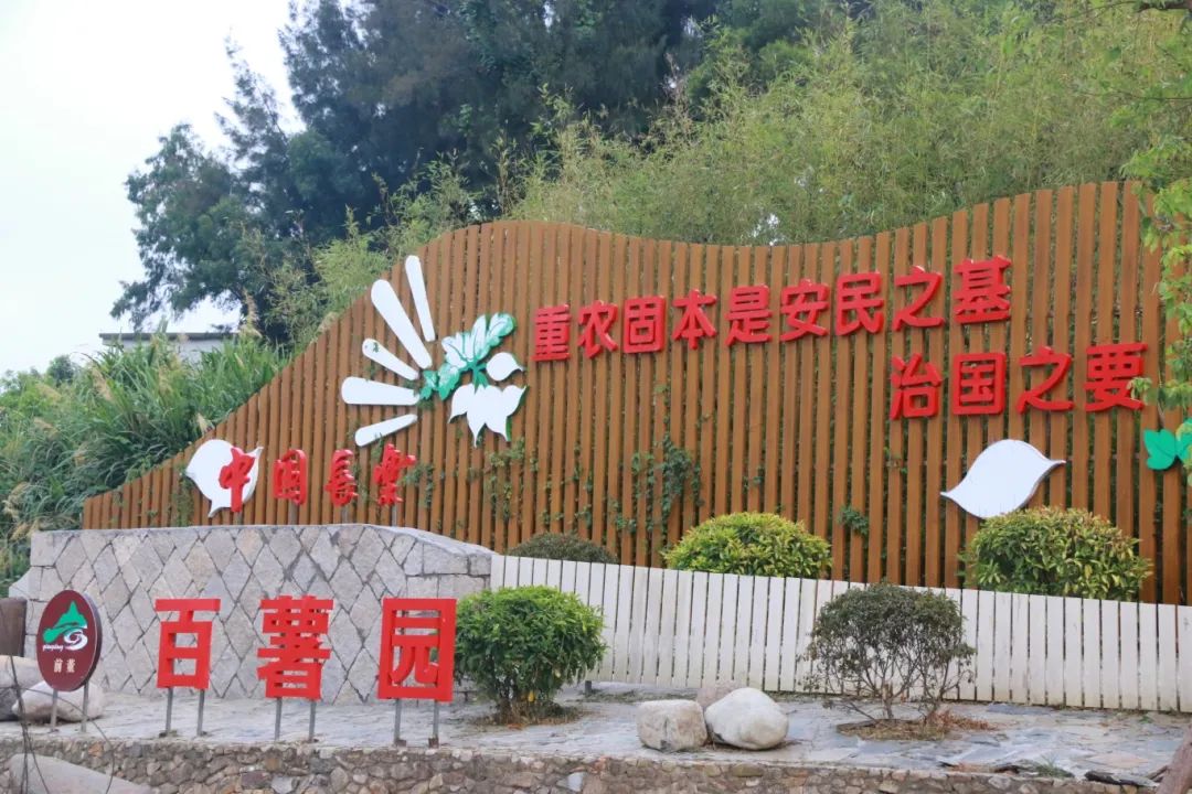 有喜事！长乐“国字号”荣誉+1
