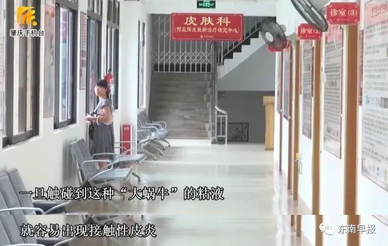 不要碰！不要碰！长乐多地又发现了！