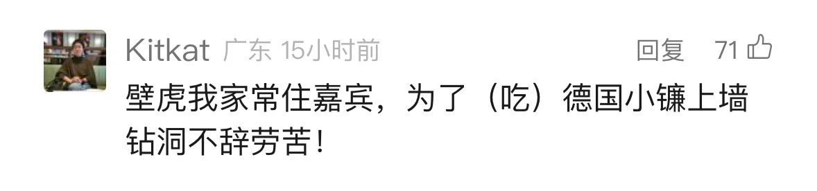 是真的！捉1只就违法！网友蒙了：在家经常碰到......