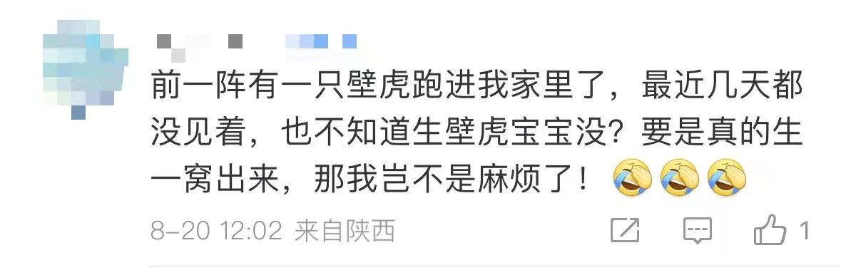 是真的！捉1只就违法！网友蒙了：在家经常碰到......