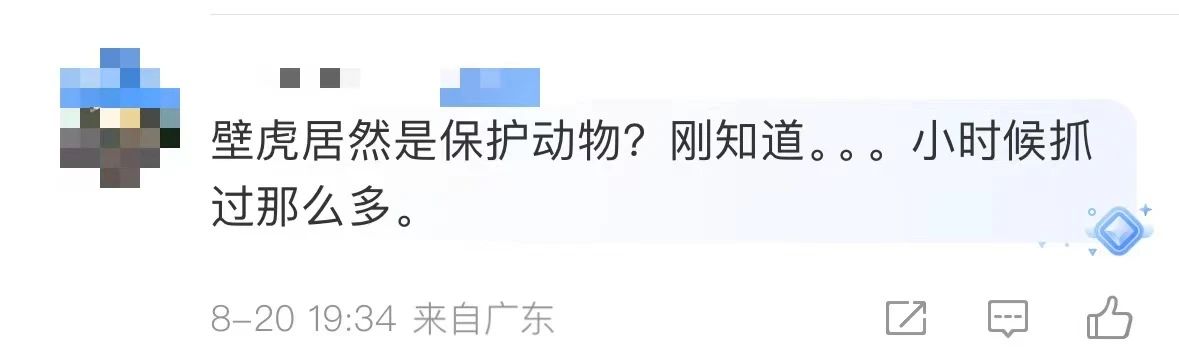 是真的！捉1只就违法！网友蒙了：在家经常碰到......
