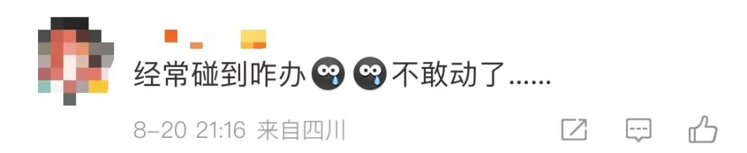 是真的！捉1只就违法！网友蒙了：在家经常碰到......