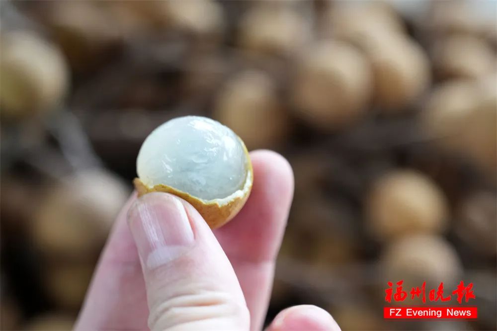 长乐人今天要做这件事......