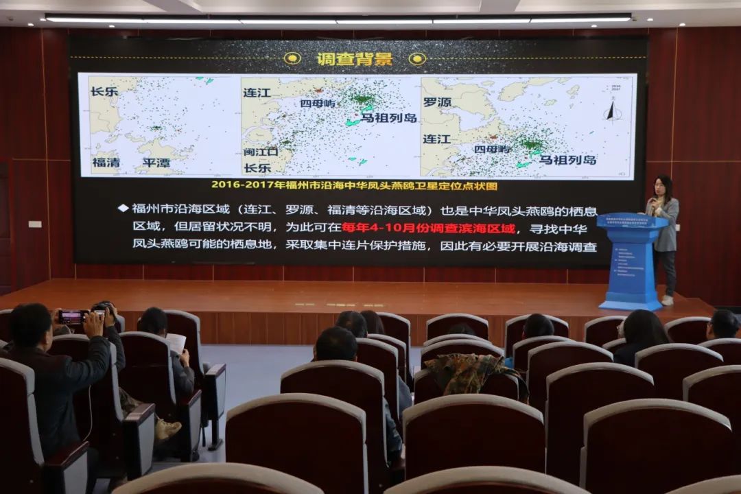 共护“神话之鸟”！又一基地落户长乐！