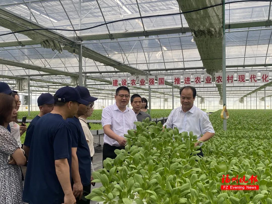 基地遍布福建、河北、内蒙古……长乐这个董事长，好牛！