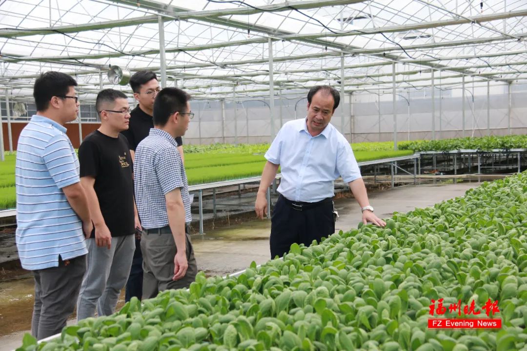 基地遍布福建、河北、内蒙古……长乐这个董事长，好牛！
