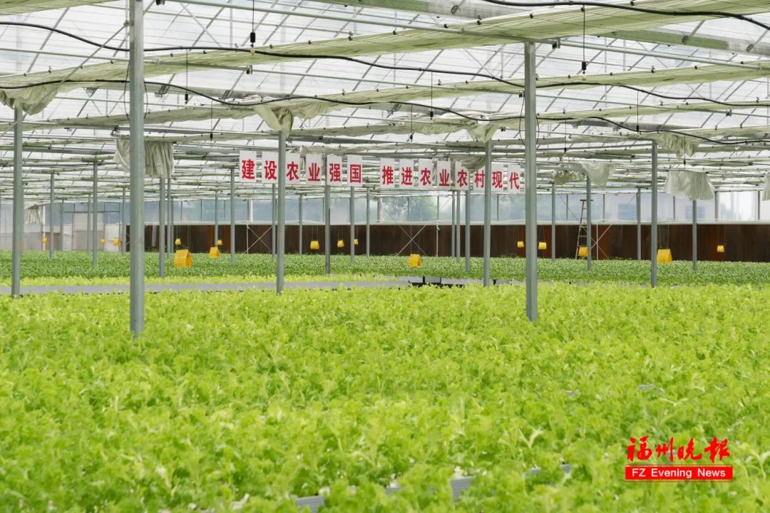 基地遍布福建、河北、内蒙古……长乐这个董事长，好牛！
