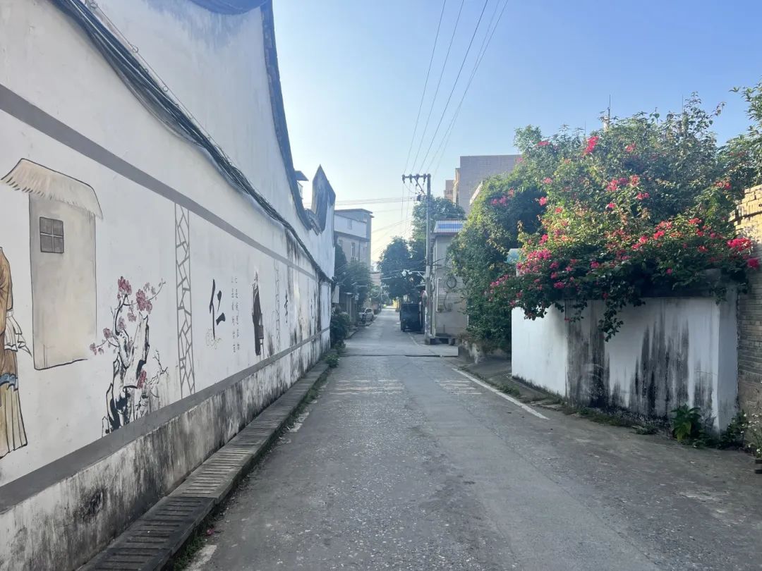 一眼爱上！长乐这个村，超治愈…
