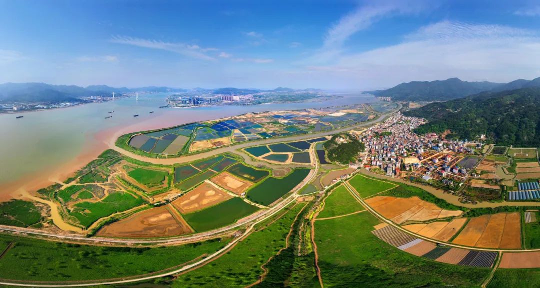 长乐：“农”墨重彩！绘就乡村振兴好“丰”景