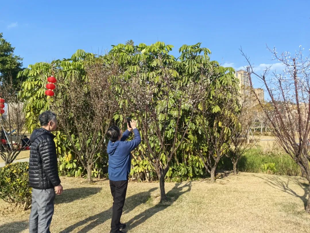 【网络中国节·春节】点赞！这样的长乐“美景”，你看了吗？