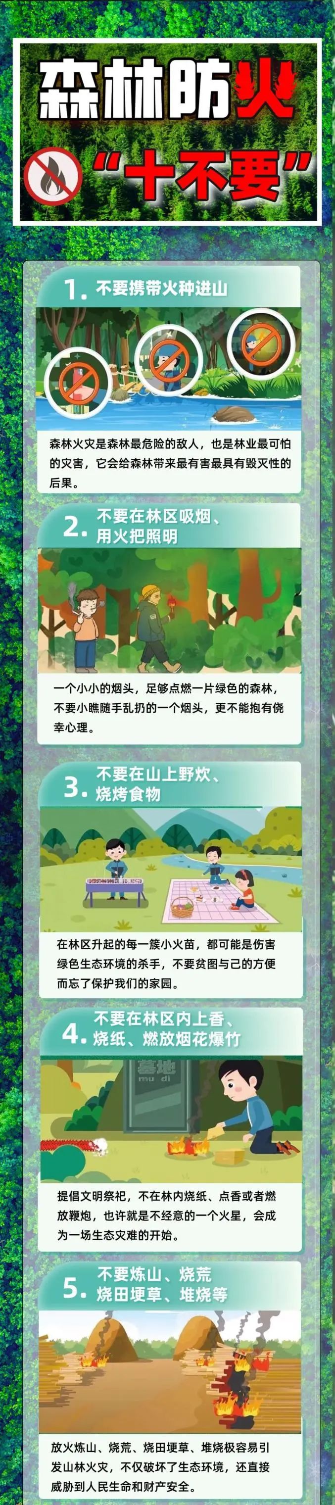 森林防火要注意 这些知识请牢记