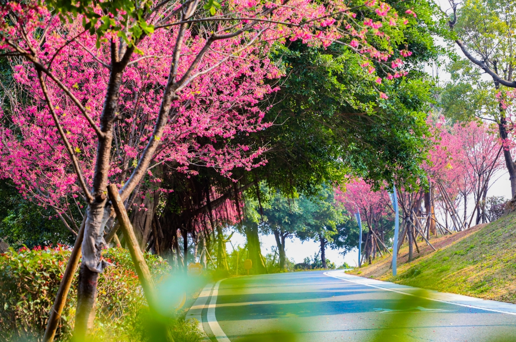 直逼28℃！长乐夏天要来了？未来几天又……