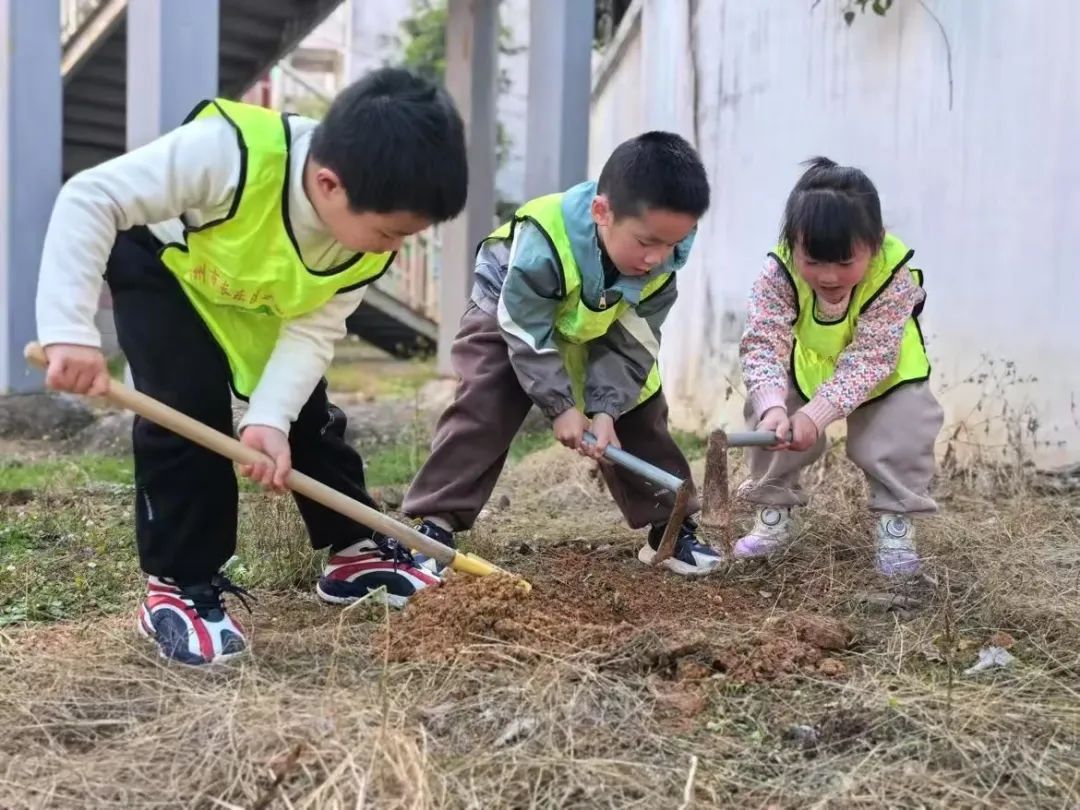 全国首批！长乐2所幼儿园入选