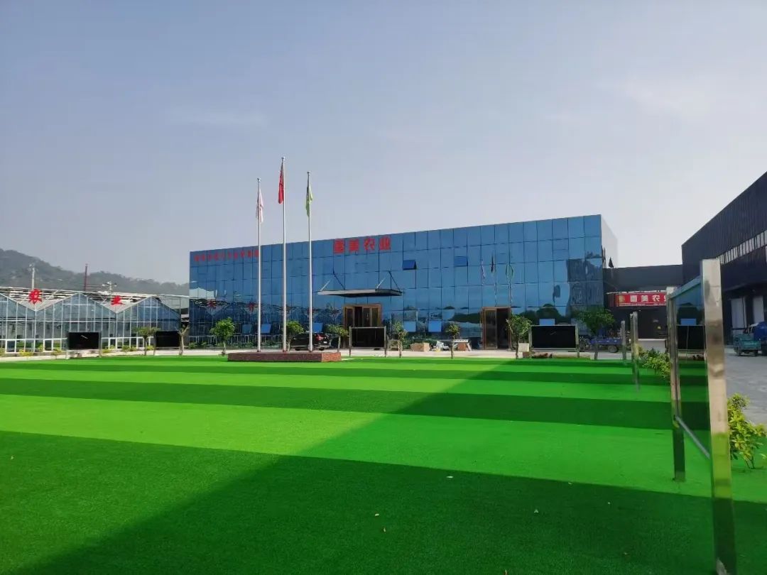 200万元免抵押贷款7天到账!政策性担保提速企业发展 200万元免抵押贷款7天到账!政策性担保提速企业发展