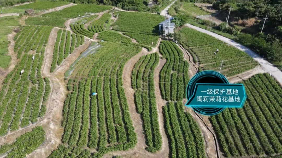 200万元免抵押贷款7天到账!政策性担保提速企业发展 200万元免抵押贷款7天到账!政策性担保提速企业发展