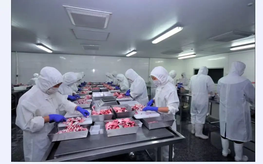 200万元免抵押贷款7天到账!政策性担保提速企业发展 200万元免抵押贷款7天到账!政策性担保提速企业发展