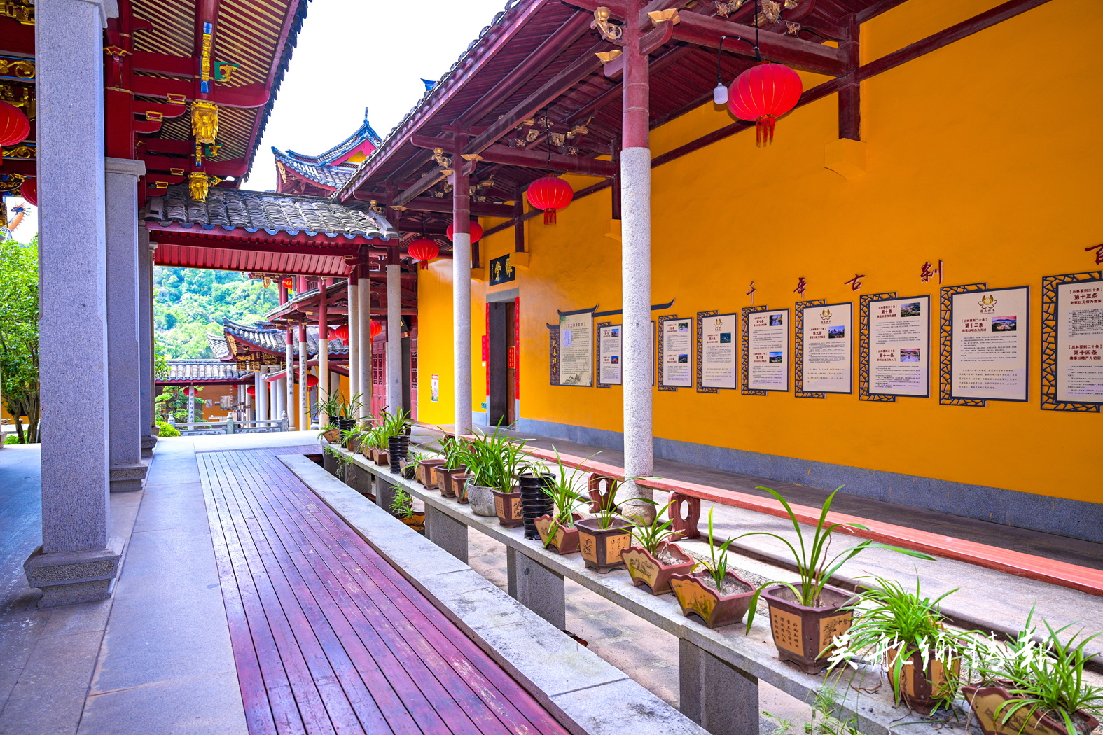 龙泉寺：千年古刹的禅韵传承