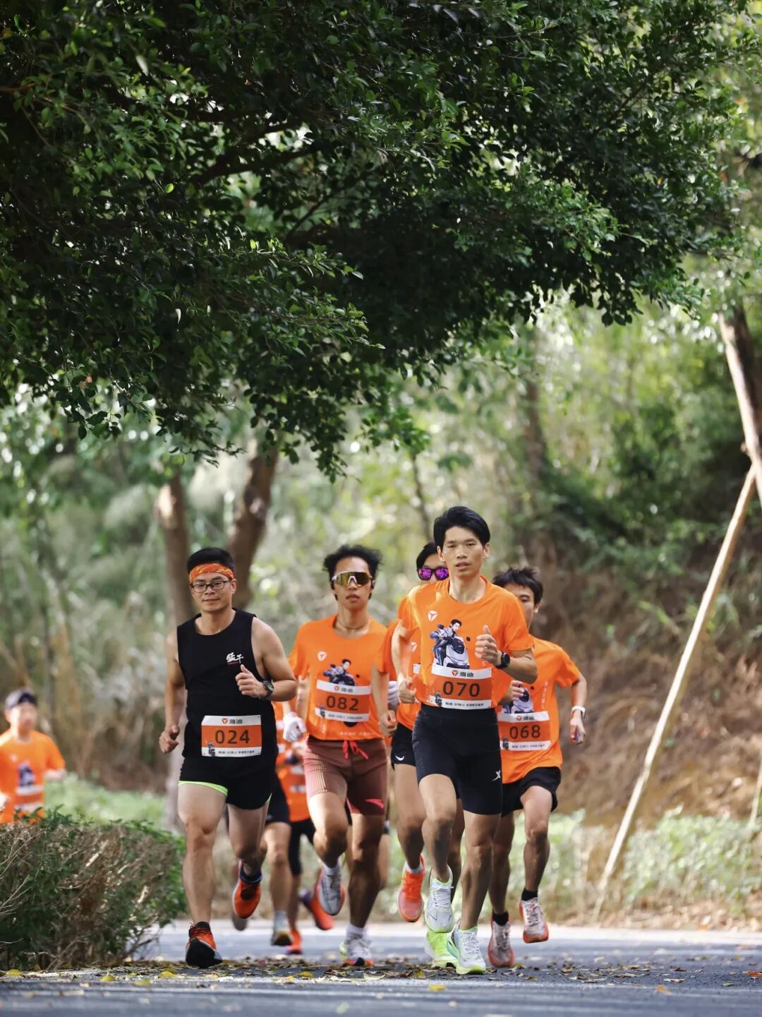 南山生态公园太嗨了