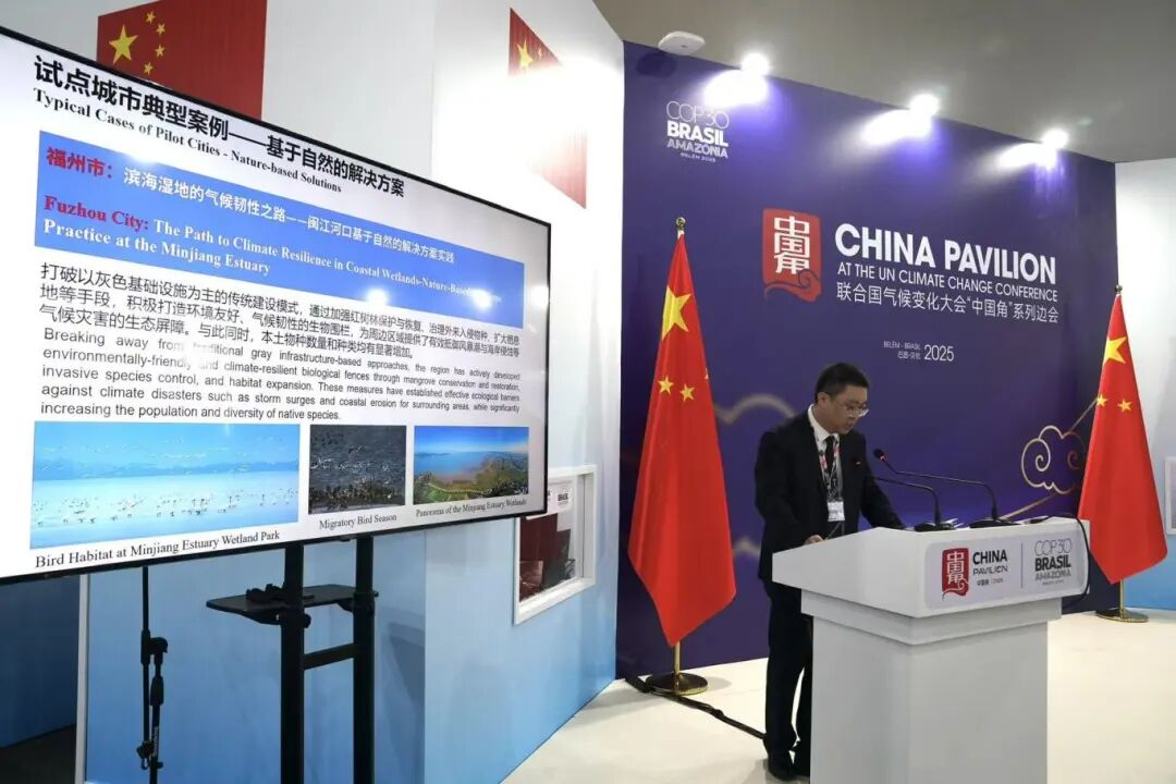 惊艳联合国！闽江河口湿地案例亮相COP30