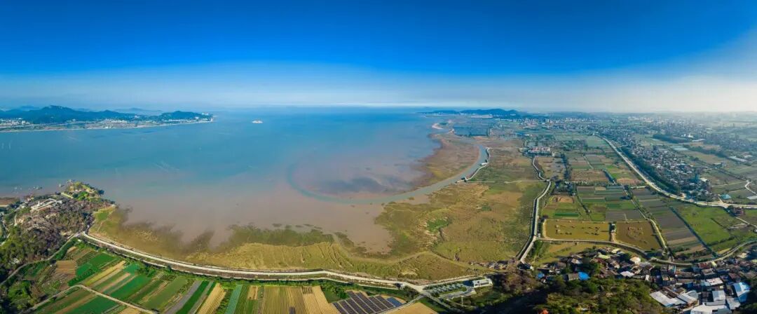 惊艳联合国！闽江河口湿地案例亮相COP30