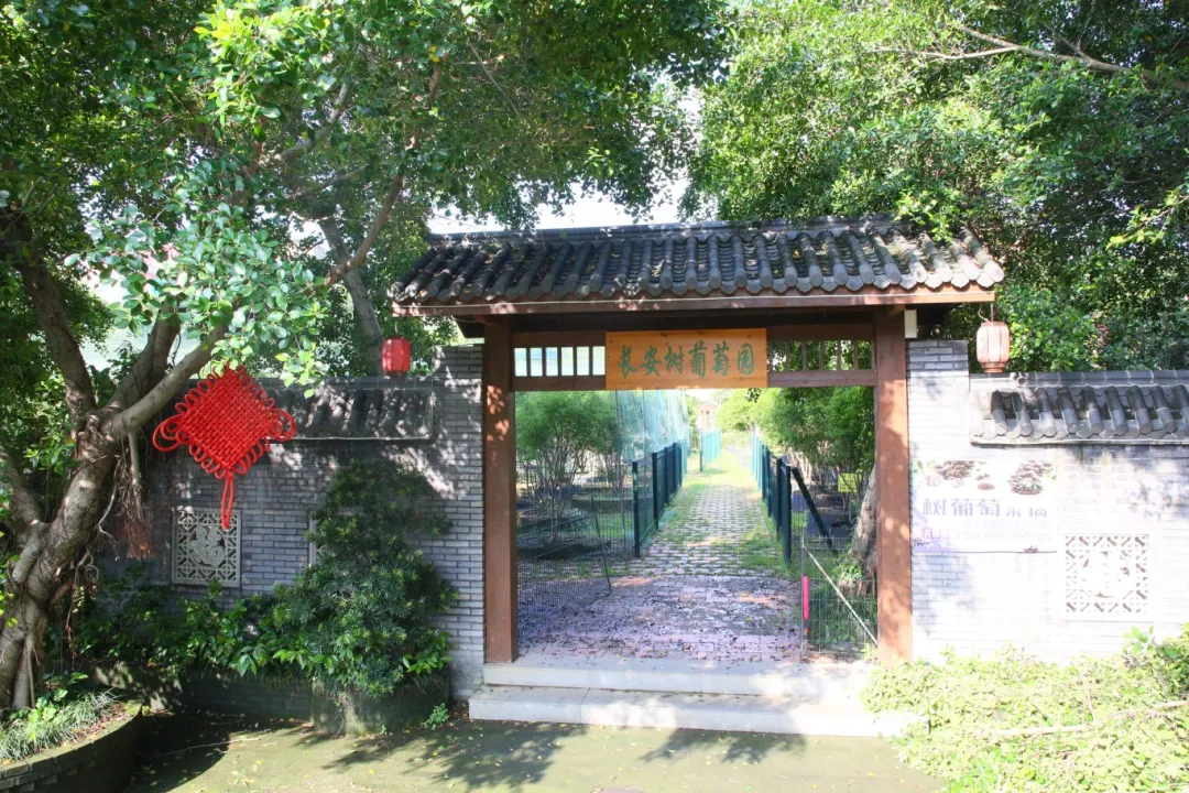 全国推介！祝贺福州新区（长乐区）这个村！