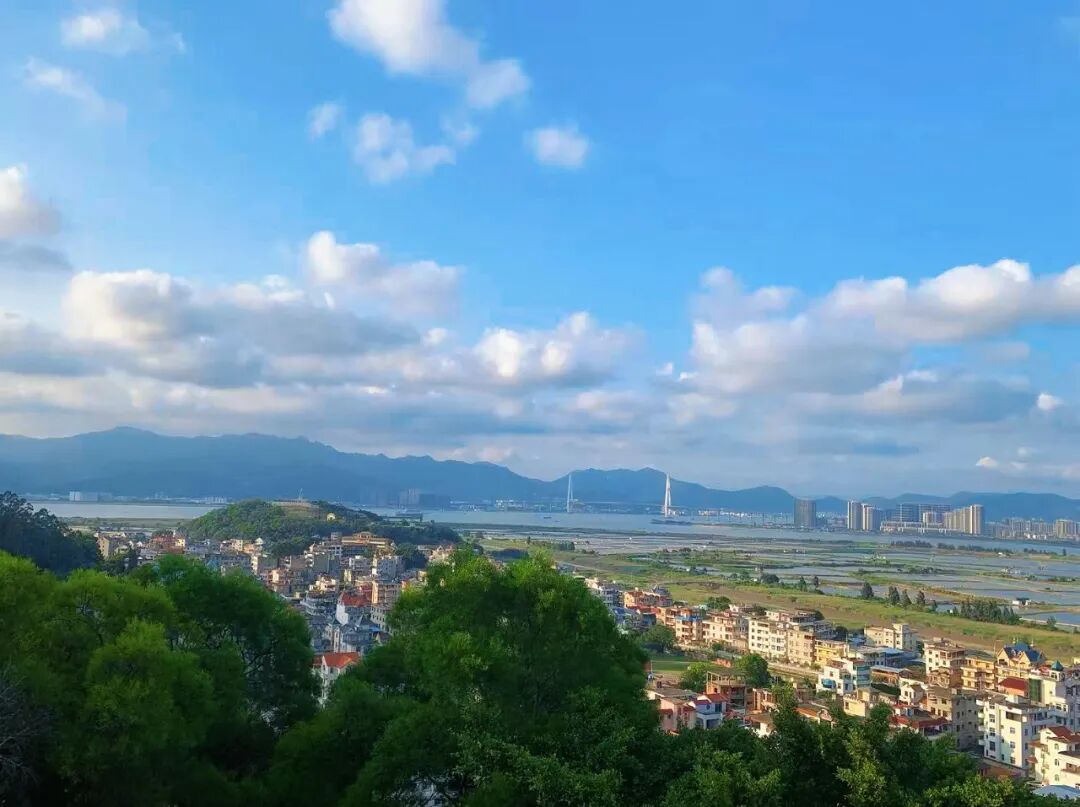 “大雪”没有雪！什么时候才能穿冬装？气温开启“过山车”模式↘↗