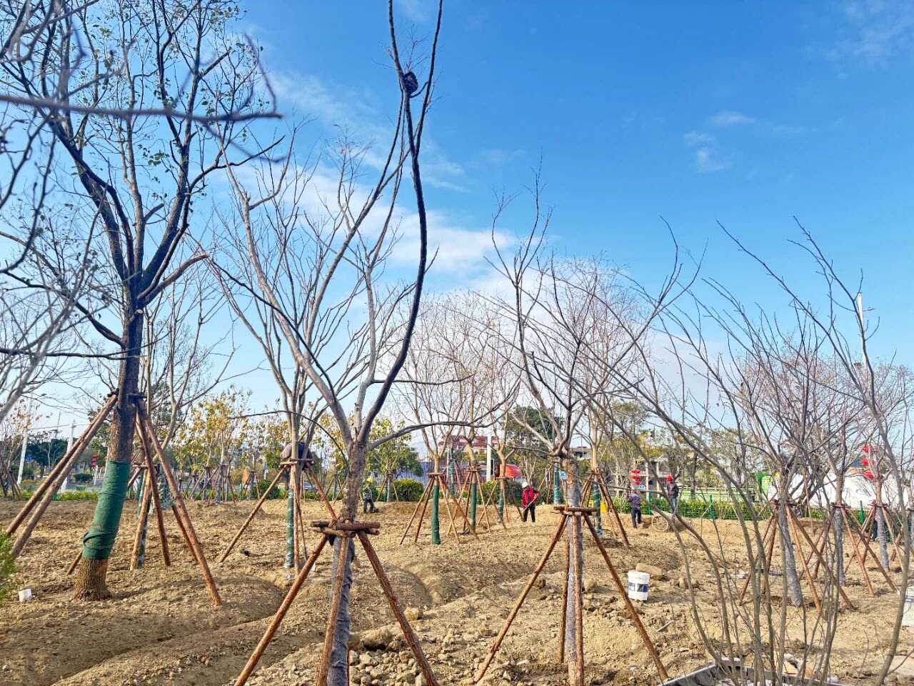 高颜值亮相！福州新区（长乐区）这个产业园即将竣工