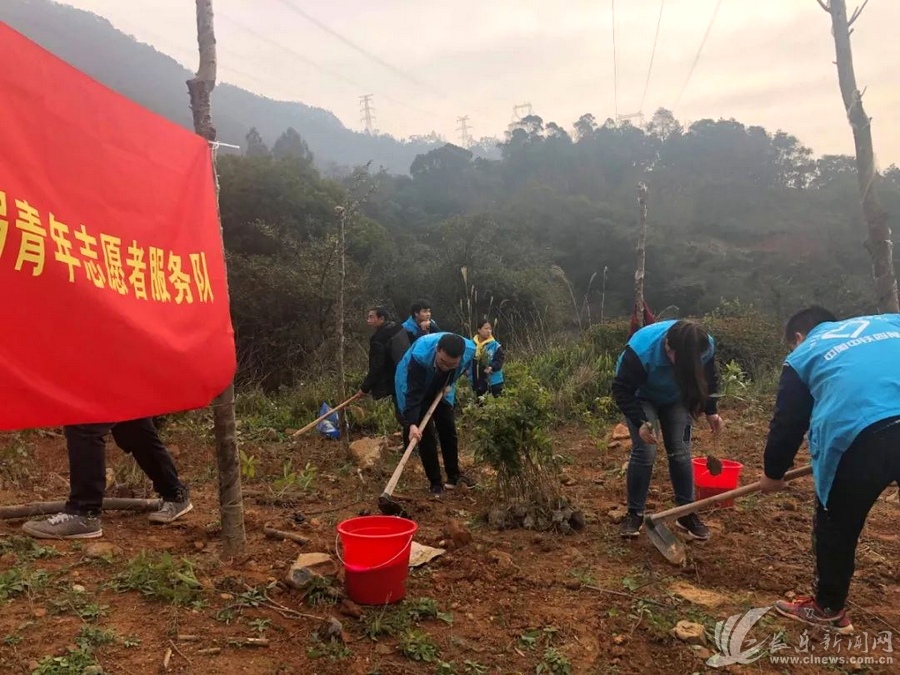 鹤上镇植树造林_看图王.jpg